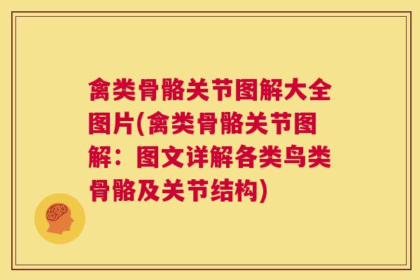 禽类骨骼关节图解大全图片(禽类骨骼关节图解:图文详解各类鸟类骨骼及关节结构)