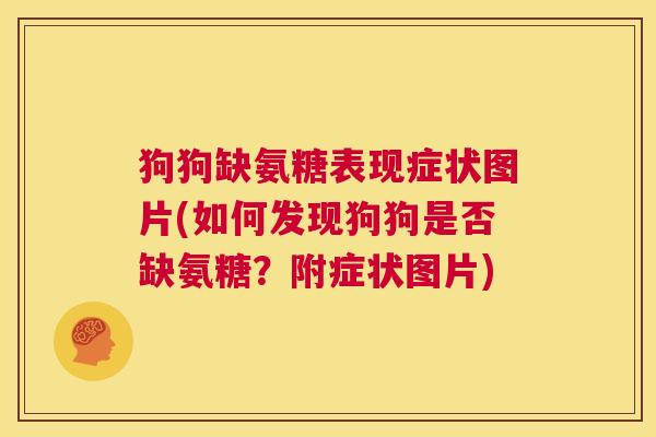 狗狗缺氨糖表现症状图片(如何发现狗狗是否缺氨糖?附症状图片)