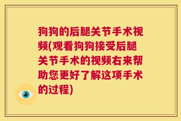 狗狗的后腿关节手术视频(观看狗狗接受后腿关节手术的视频右来帮助您更好了解这项手术的过程)