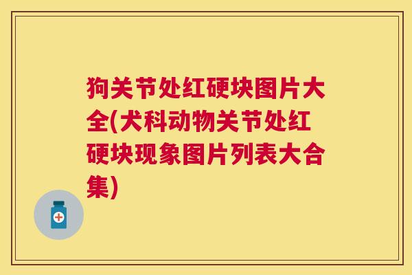 狗关节处红硬块图片大全(犬科动物关节处红硬块现象图片列表大合集) 狗关节处红硬块图片大全(犬科动物关节处红硬块现象图片列表大合集)