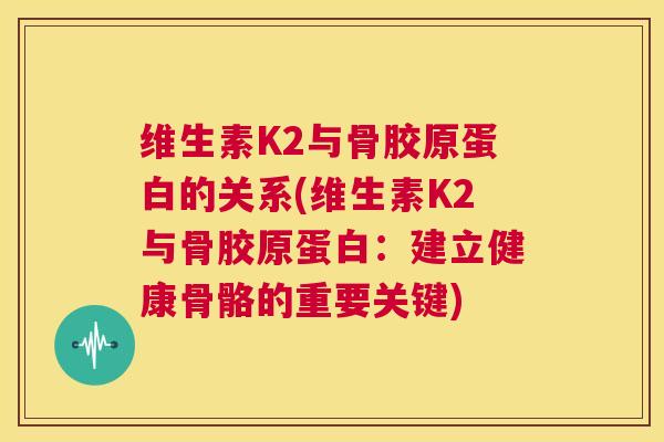 维生素K2与骨胶原蛋白的关系(维生素K2与骨胶原蛋白:建立健康骨骼的重要关键) 维生素K2与骨胶原蛋白的关系(维生素K2与骨胶原蛋白:建立健康骨骼的重要关键)