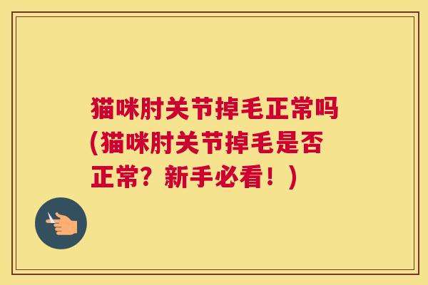 猫咪肘关节掉毛正常吗(猫咪肘关节掉毛是否正常?新手必看!) 猫咪肘关节掉毛正常吗(猫咪肘关节掉毛是否正常?新手必看!)