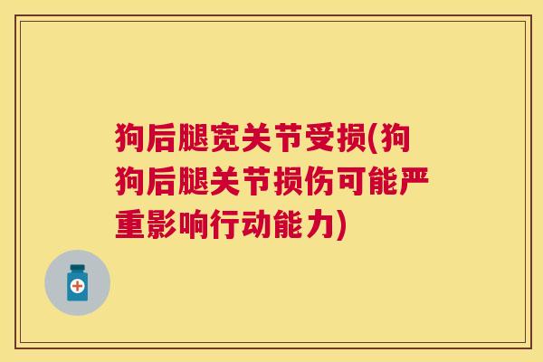 狗后腿宽关节受损(狗狗后腿关节损伤可能严重影响行动能力)