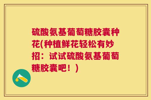 硫酸氨基葡萄糖胶囊种花(种植鲜花轻松有妙招:试试硫酸氨基葡萄糖胶囊吧!)