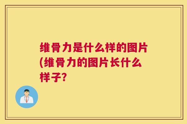 维骨力是什么样的图片(维骨力的图片长什么样子？