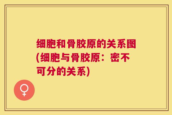 细胞和骨胶原的关系图(细胞与骨胶原:密不可分的关系) 细胞和骨胶原的关系图(细胞与骨胶原:密不可分的关系)