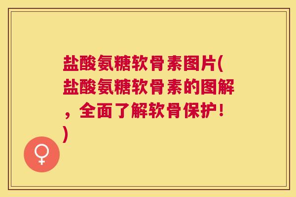 盐酸氨糖软骨素图片(盐酸氨糖软骨素的图解,全面了解软骨保护!)