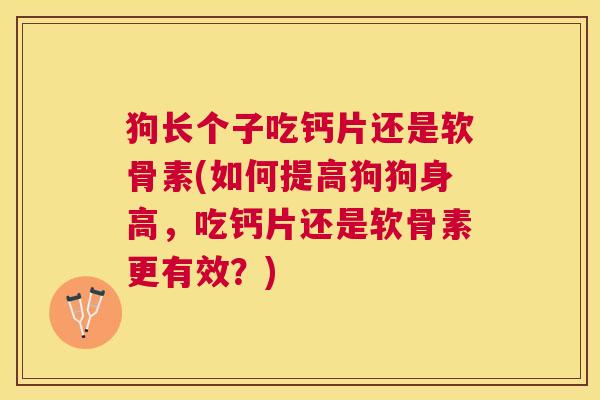 狗长个子吃钙片还是软骨素(如何提高狗狗身高，吃钙片还是软骨素更有效？)