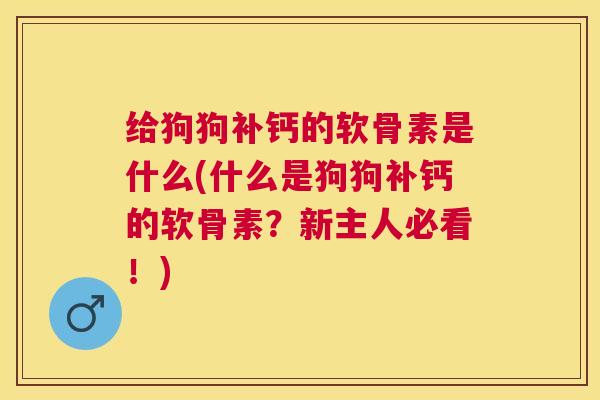 给狗狗补钙的软骨素是什么(什么是狗狗补钙的软骨素?新主人必看!) 给狗狗补钙的软骨素是什么(什么是狗狗补钙的软骨素?新主人必看!)