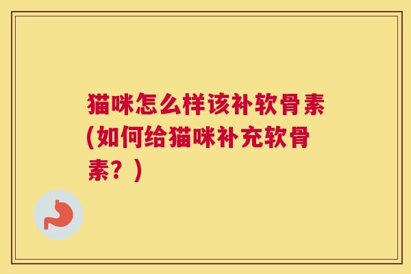 猫咪怎么样该补软骨素(如何给猫咪补充软骨素？)