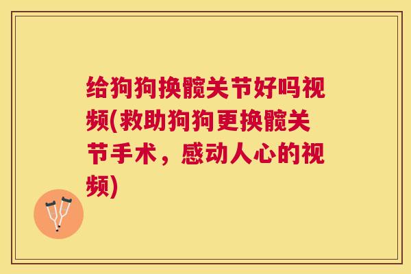 给狗狗换髋关节好吗视频(救助狗狗更换髋关节手术,感动人心的视频)