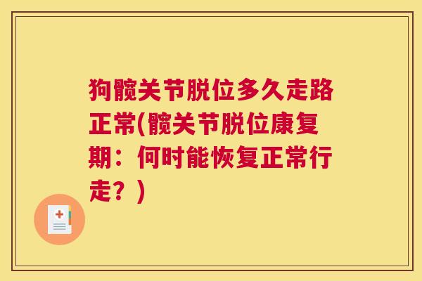 狗髋关节脱位多久走路正常(髋关节脱位康复期：何时能恢复正常行走？)