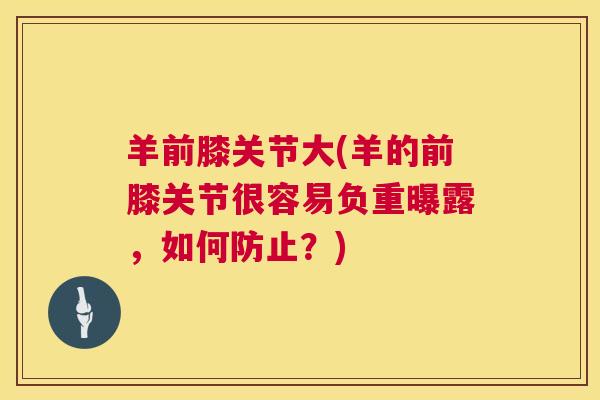 羊前膝关节大(羊的前膝关节很容易负重曝露,如何防止?)
