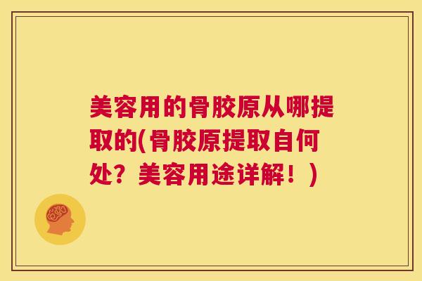 美容用的骨胶原从哪提取的(骨胶原提取自何处？美容用途详解！)