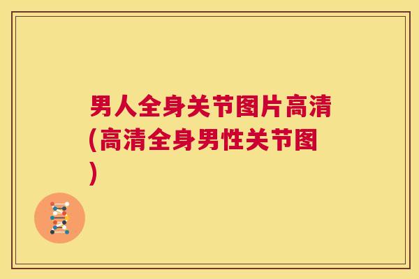 男人全身关节图片高清(高清全身男性关节图)