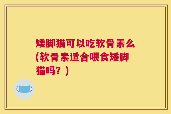 矮脚猫可以吃软骨素么(软骨素适合喂食矮脚猫吗?)