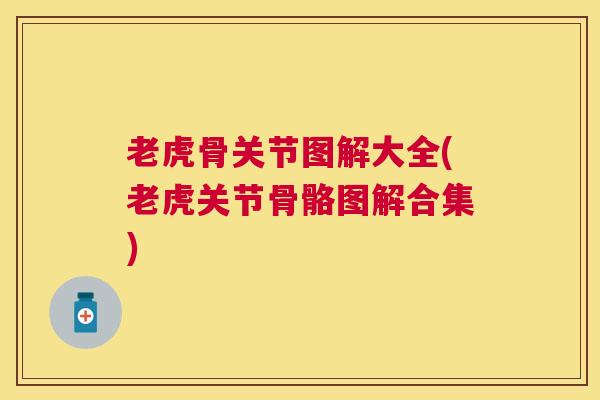 老虎骨关节图解大全(老虎关节骨骼图解合集)