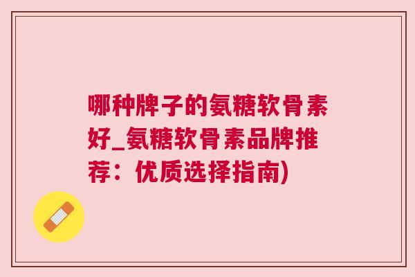 哪种牌子的氨糖软骨素好_氨糖软骨素品牌推荐:优质选择指南)