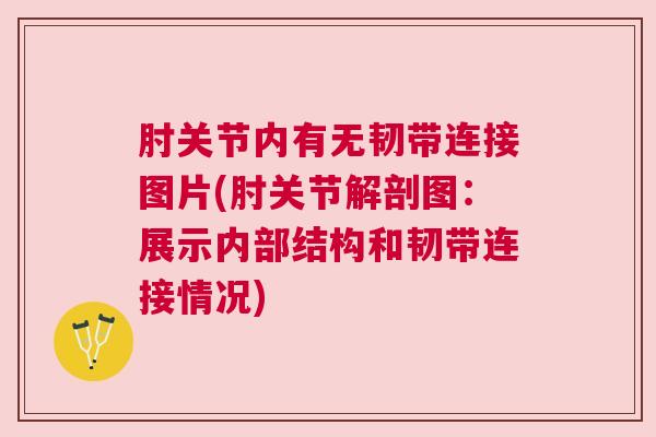 肘关节内有无韧带连接图片(肘关节解剖图:展示内部结构和韧带连接情况)