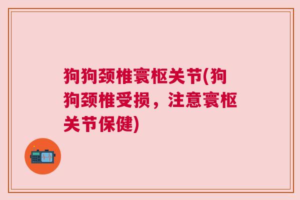 狗狗颈椎寰枢关节(狗狗颈椎受损,注意寰枢关节保健) 狗狗颈椎寰枢关节(狗狗颈椎受损,注意寰枢关节保健)