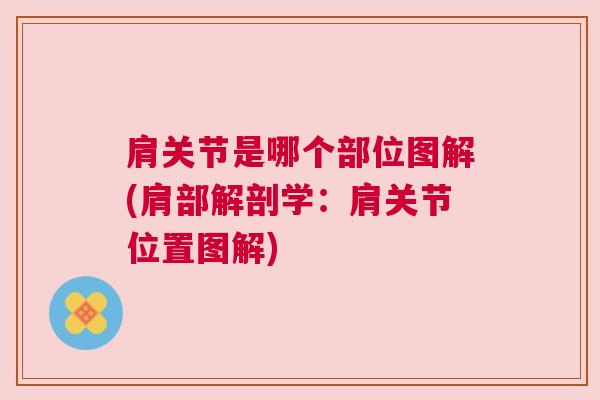 肩关节是哪个部位图解(肩部解剖学:肩关节位置图解)