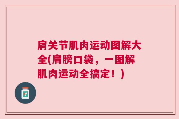 肩关节肌肉运动图解大全(肩膀口袋,一图解肌肉运动全搞定!)