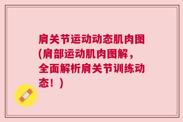 肩关节运动动态肌肉图(肩部运动肌肉图解,全面解析肩关节训练动态!)
