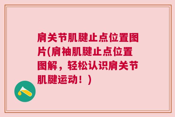肩关节肌腱止点位置图片(肩袖肌腱止点位置图解,轻松认识肩关节肌腱运动!)