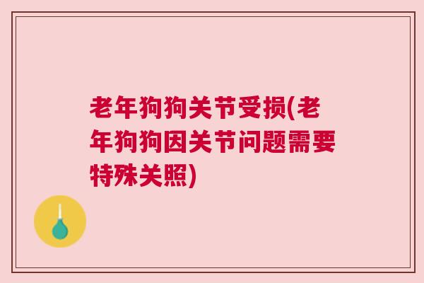 老年狗狗关节受损(老年狗狗因关节问题需要特殊关照) 老年狗狗关节受损(老年狗狗因关节问题需要特殊关照)