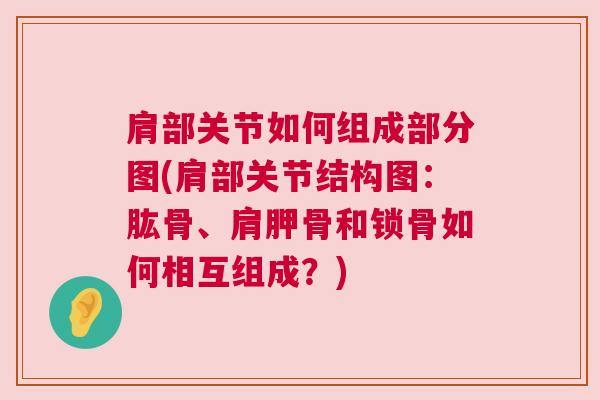 肩部关节如何组成部分图(肩部关节结构图:肱骨、肩胛骨和锁骨如何相互组成?)
