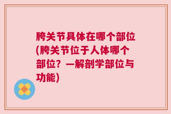 胯关节具体在哪个部位(胯关节位于人体哪个部位?—解剖学部位与功能) 胯关节具体在哪个部位(胯关节位于人体哪个部位?—解剖学部位与功能)