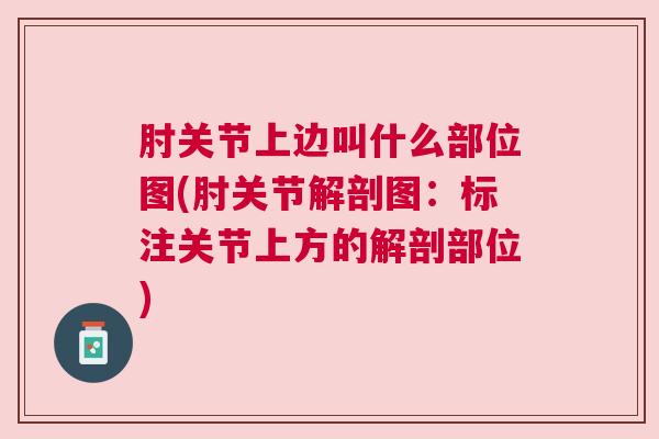肘关节上边叫什么部位图(肘关节解剖图:标注关节上方的解剖部位) 肘关节上边叫什么部位图(肘关节解剖图:标注关节上方的解剖部位)