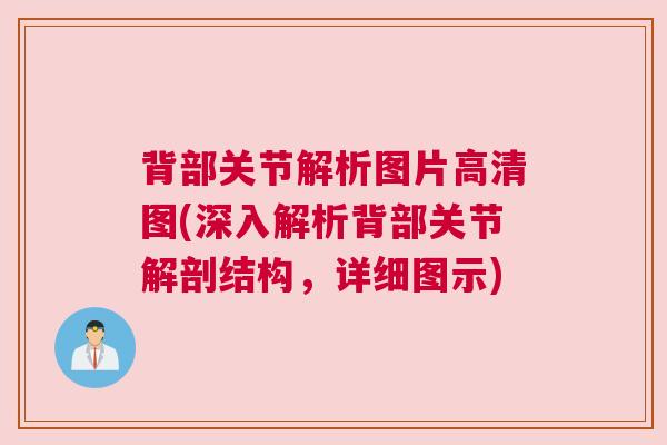 背部关节解析图片高清图(深入解析背部关节解剖结构,详细图示) 背部关节解析图片高清图(深入解析背部关节解剖结构,详细图示)