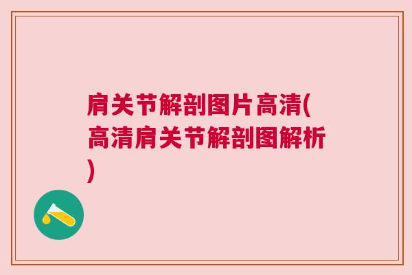 肩关节解剖图片高清(高清肩关节解剖图解析)