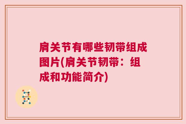 肩关节有哪些韧带组成图片(肩关节韧带:组成和功能简介) 肩关节有哪些韧带组成图片(肩关节韧带:组成和功能简介)