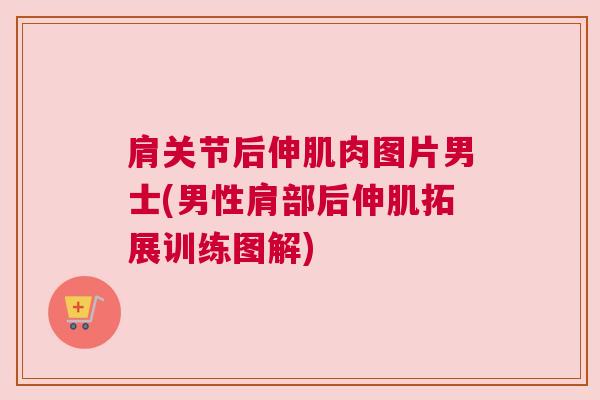 肩关节后伸肌肉图片男士(男性肩部后伸肌拓展训练图解)