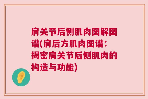 肩关节后侧肌肉图解图谱(肩后方肌肉图谱：揭密肩关节后侧肌肉的构造与功能)