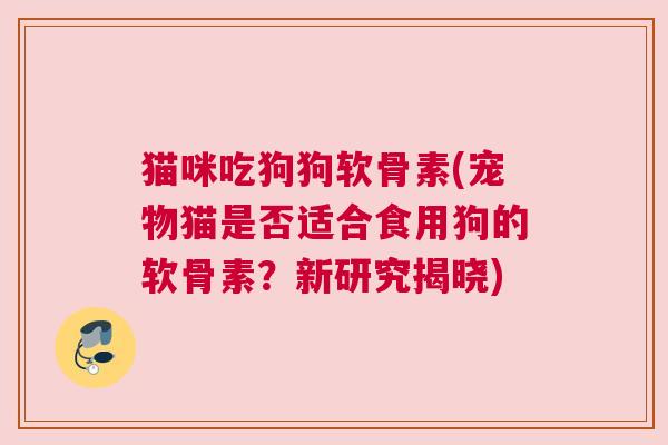 猫咪吃狗狗软骨素(宠物猫是否适合食用狗的软骨素?新研究揭晓)