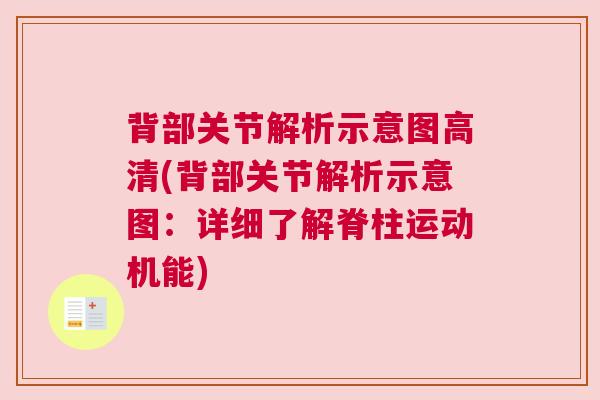 背部关节解析示意图高清(背部关节解析示意图:详细了解脊柱运动机能)
