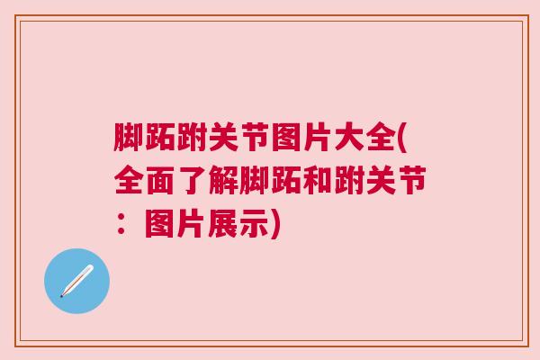 脚跖跗关节图片大全(全面了解脚跖和跗关节:图片展示)