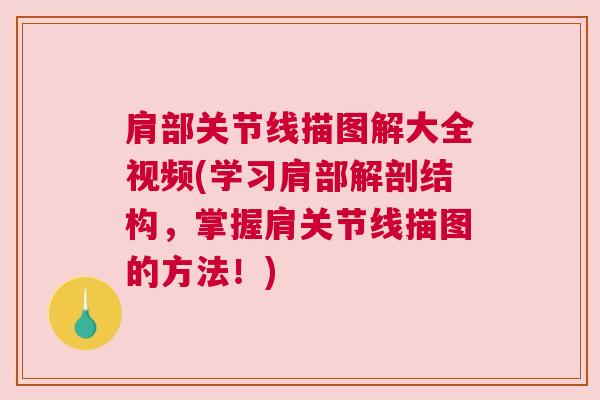 肩部关节线描图解大全视频(学习肩部解剖结构,掌握肩关节线描图的方法!)