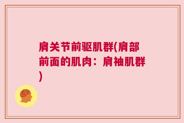 肩关节前驱肌群(肩部前面的肌肉:肩袖肌群) 肩关节前驱肌群(肩部前面的肌肉:肩袖肌群)