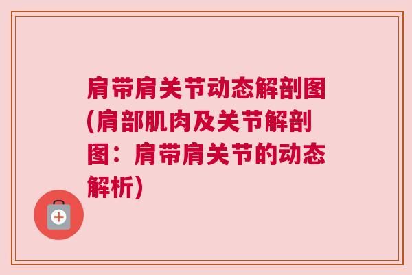 肩带肩关节动态解剖图(肩部肌肉及关节解剖图:肩带肩关节的动态解析)