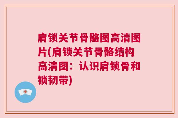 肩锁关节骨骼图高清图片(肩锁关节骨骼结构高清图：认识肩锁骨和锁韧带)