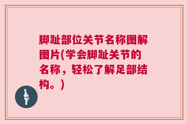 脚趾部位关节名称图解图片(学会脚趾关节的名称，轻松了解足部结构。)