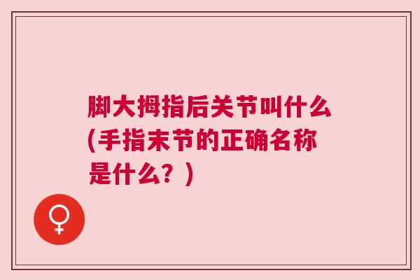 脚大拇指后关节叫什么(手指末节的正确名称是什么？)