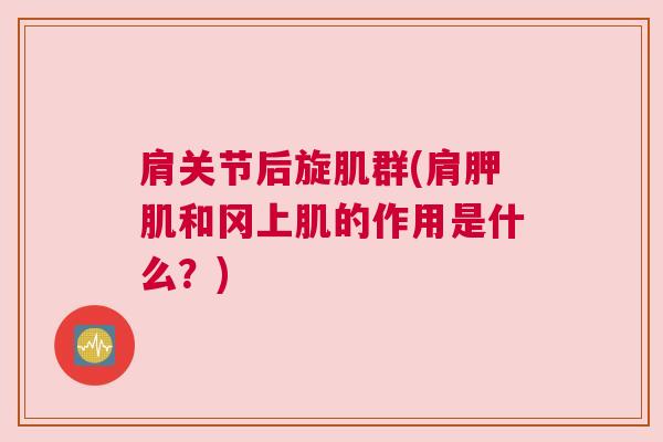 肩关节后旋肌群(肩胛肌和冈上肌的作用是什么?)