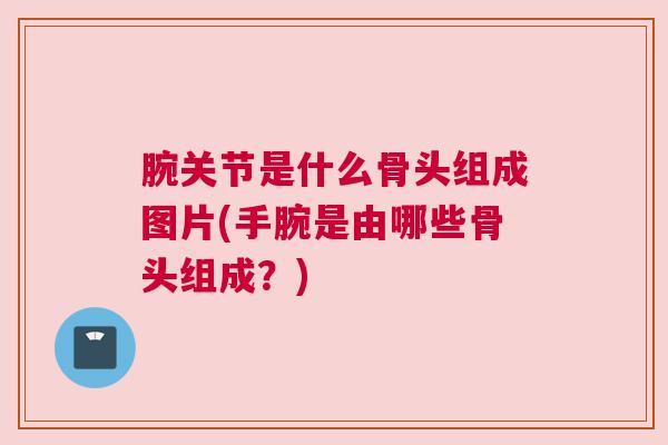 腕关节是什么骨头组成图片(手腕是由哪些骨头组成?)