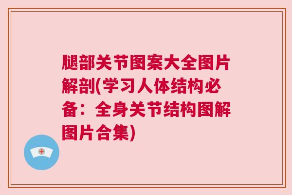 腿部关节图案大全图片解剖(学习人体结构必备:全身关节结构图解图片合集)
