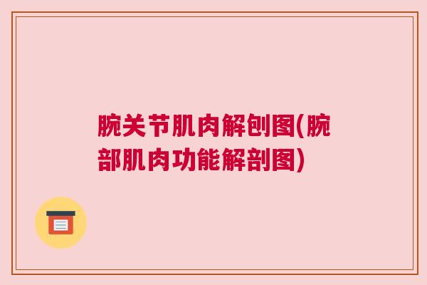 腕关节肌肉解刨图(腕部肌肉功能解剖图)